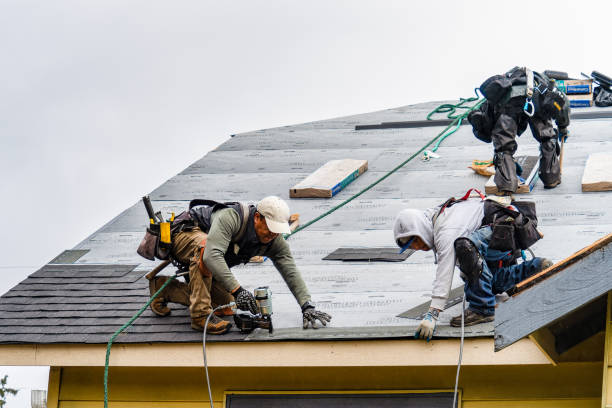 Professional Storm Damage Roof Repair technician working in Boone, NC